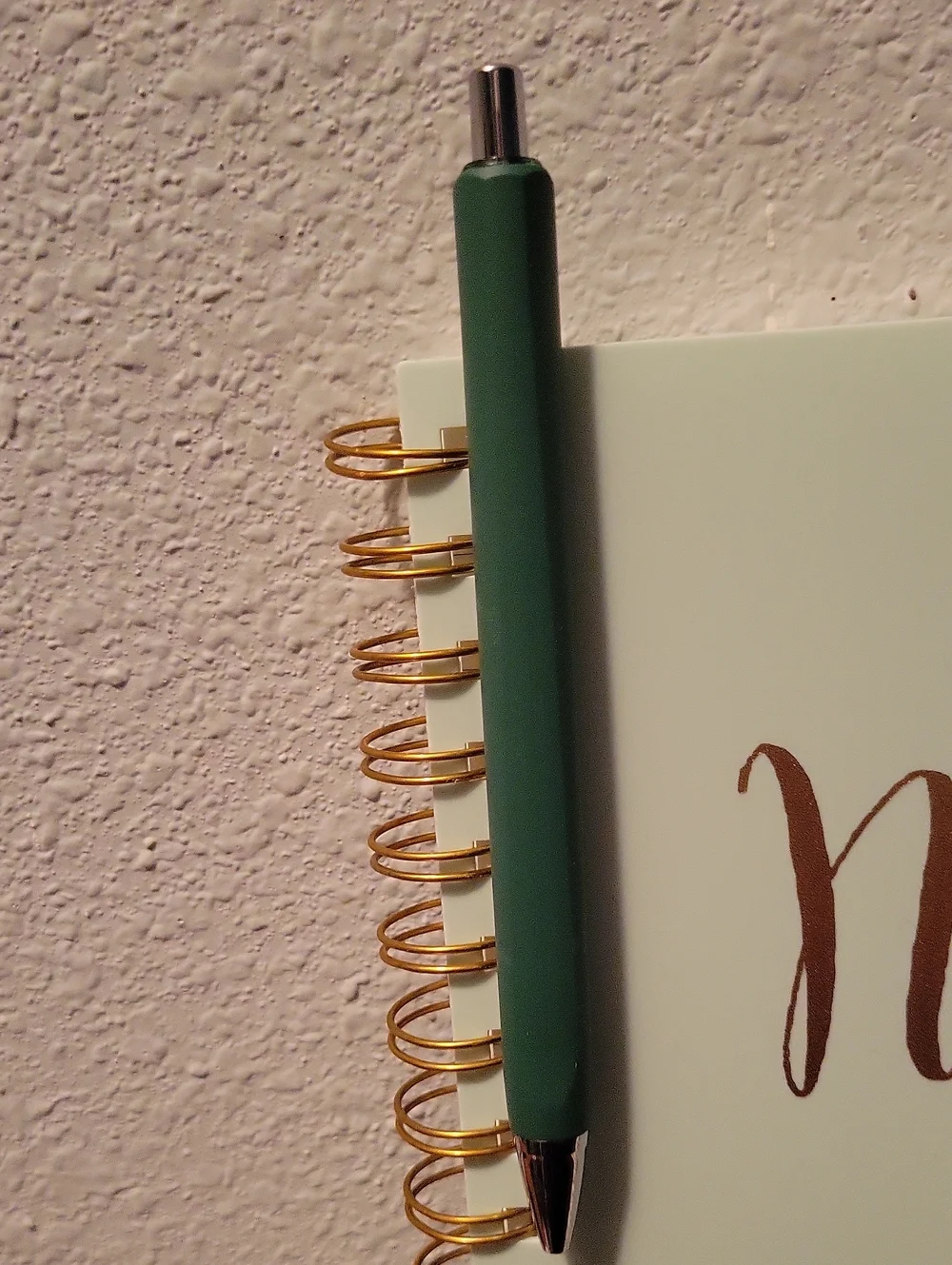 🪾 tree of Life journal 🪾